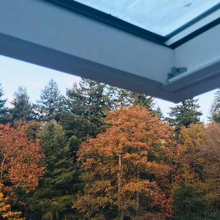 Bosgeluk, Riante Rust Bij Bos7 Op De Veluwe. * Putten